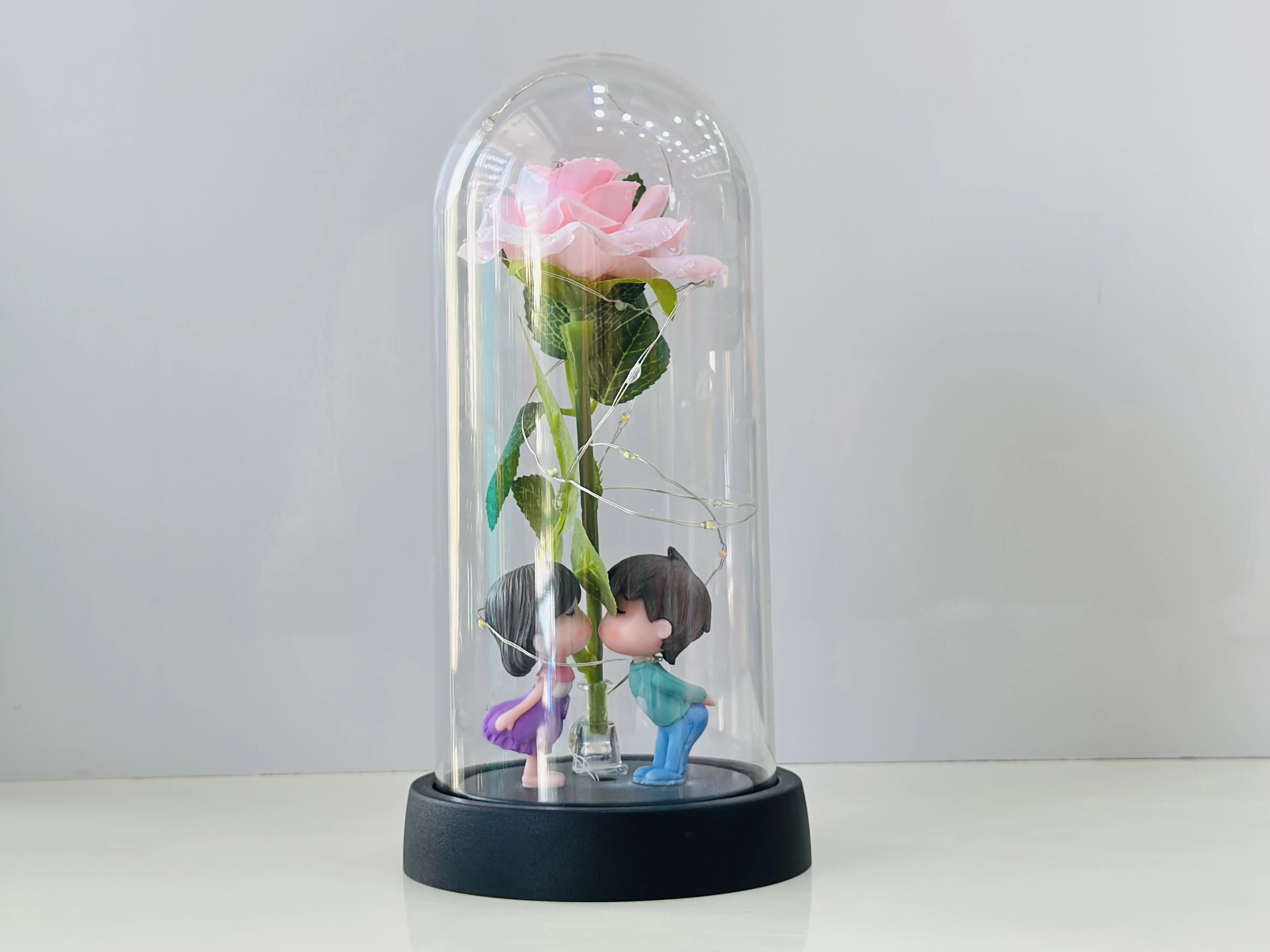 Lighted Rose Couple Glass Dome(SKU-P4C0Y)