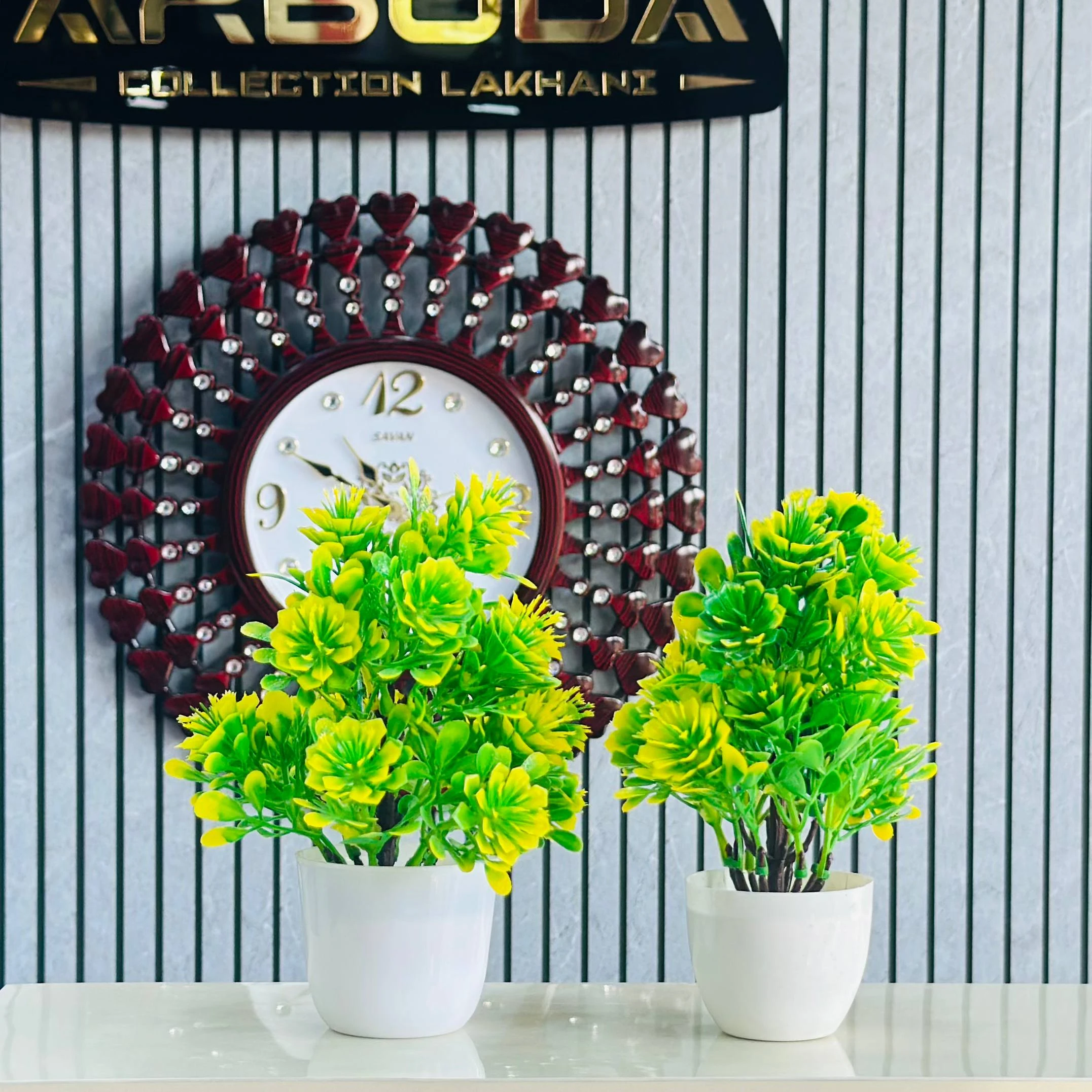 Green plants for Indoor decoration