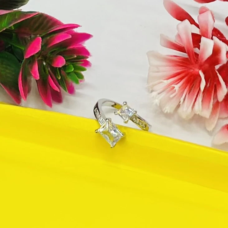 silver-toned ring featuring two prominent princess-cut stones