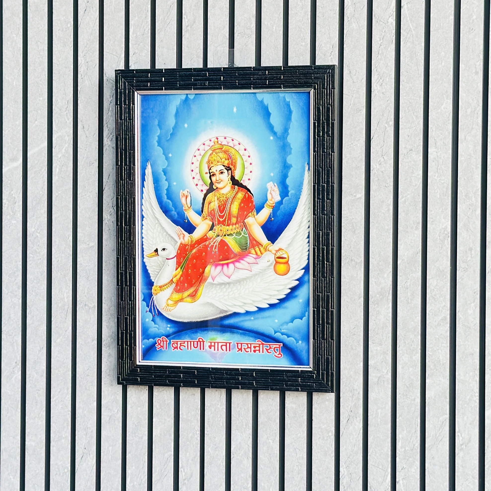 Hindu goddess Brahmani Mata