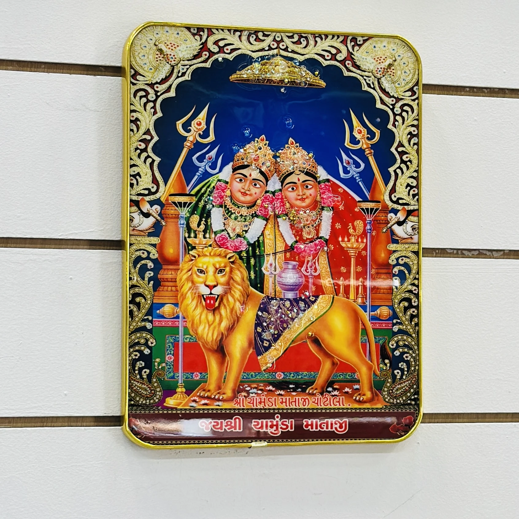 Hindu goddess Chamunda Maa….. FXZ4J6
