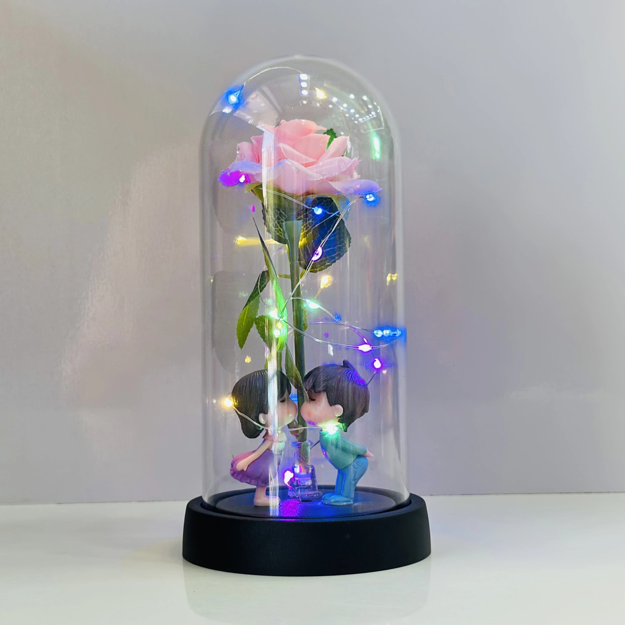 Lighted Rose Couple Glass Dome(SKU-P4C0Y)