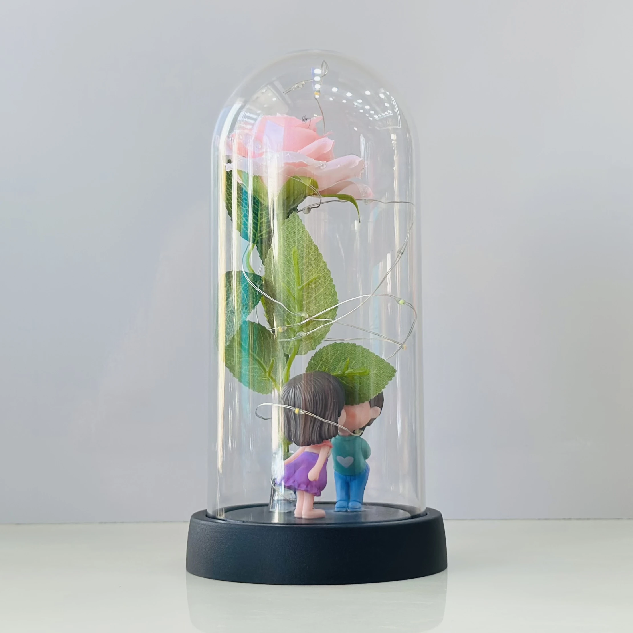 Lighted Rose Couple Glass Dome(SKU-P4C0Y)