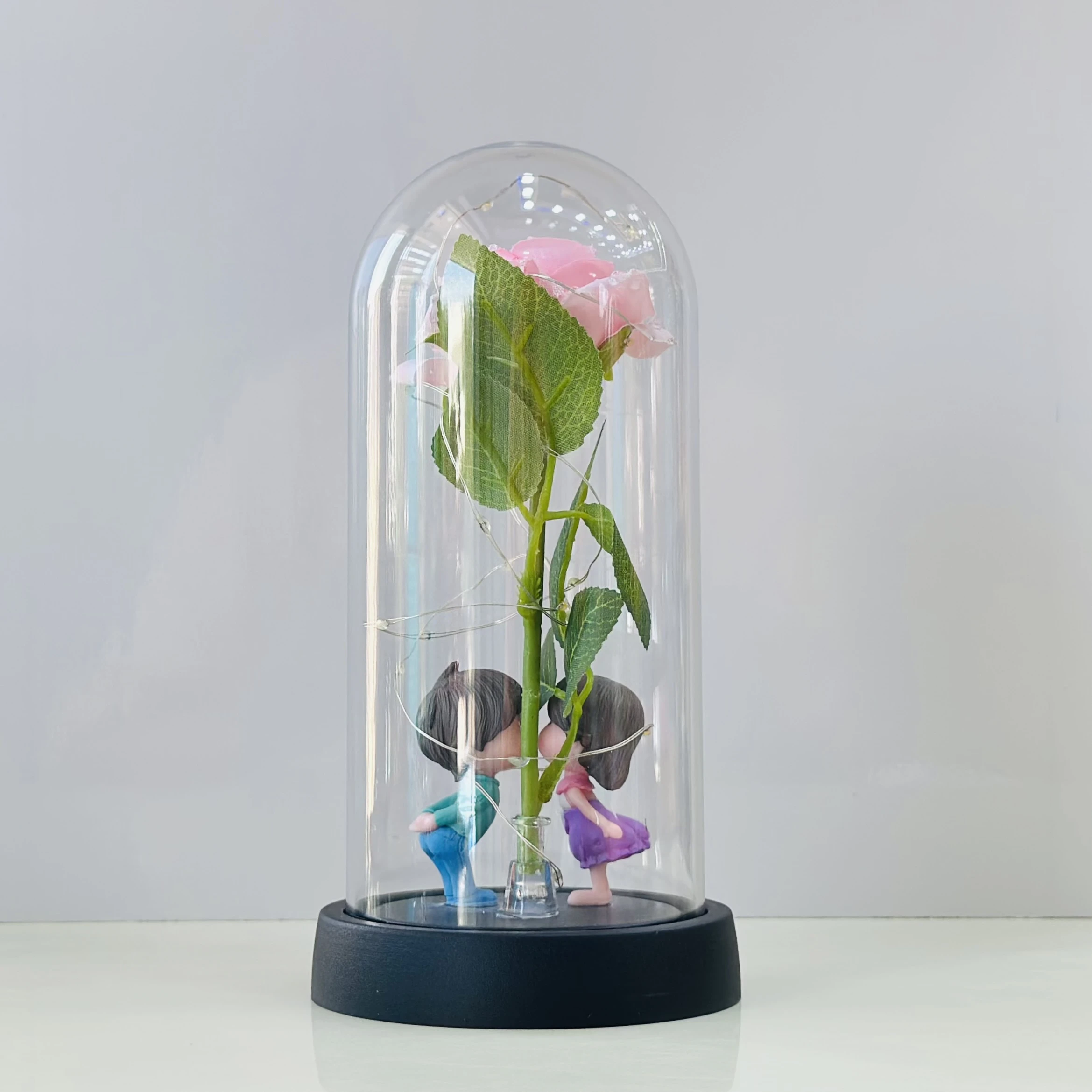 Lighted Rose Couple Glass Dome(SKU-P4C0Y)