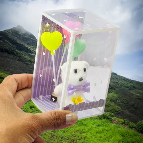 Decorative teddy bear gift set in a transparent box