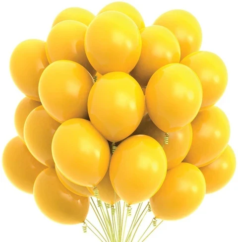 package of "Party Pal" brand balloons