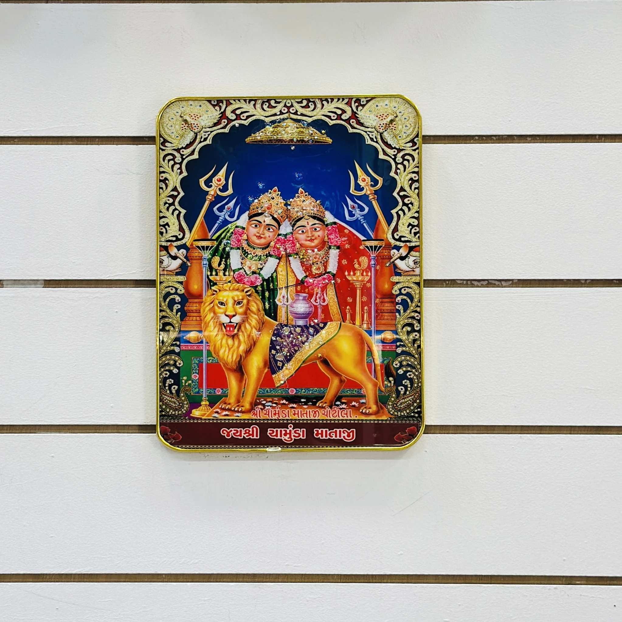 Hindu goddess Chamunda Maa….. FXZ4J6