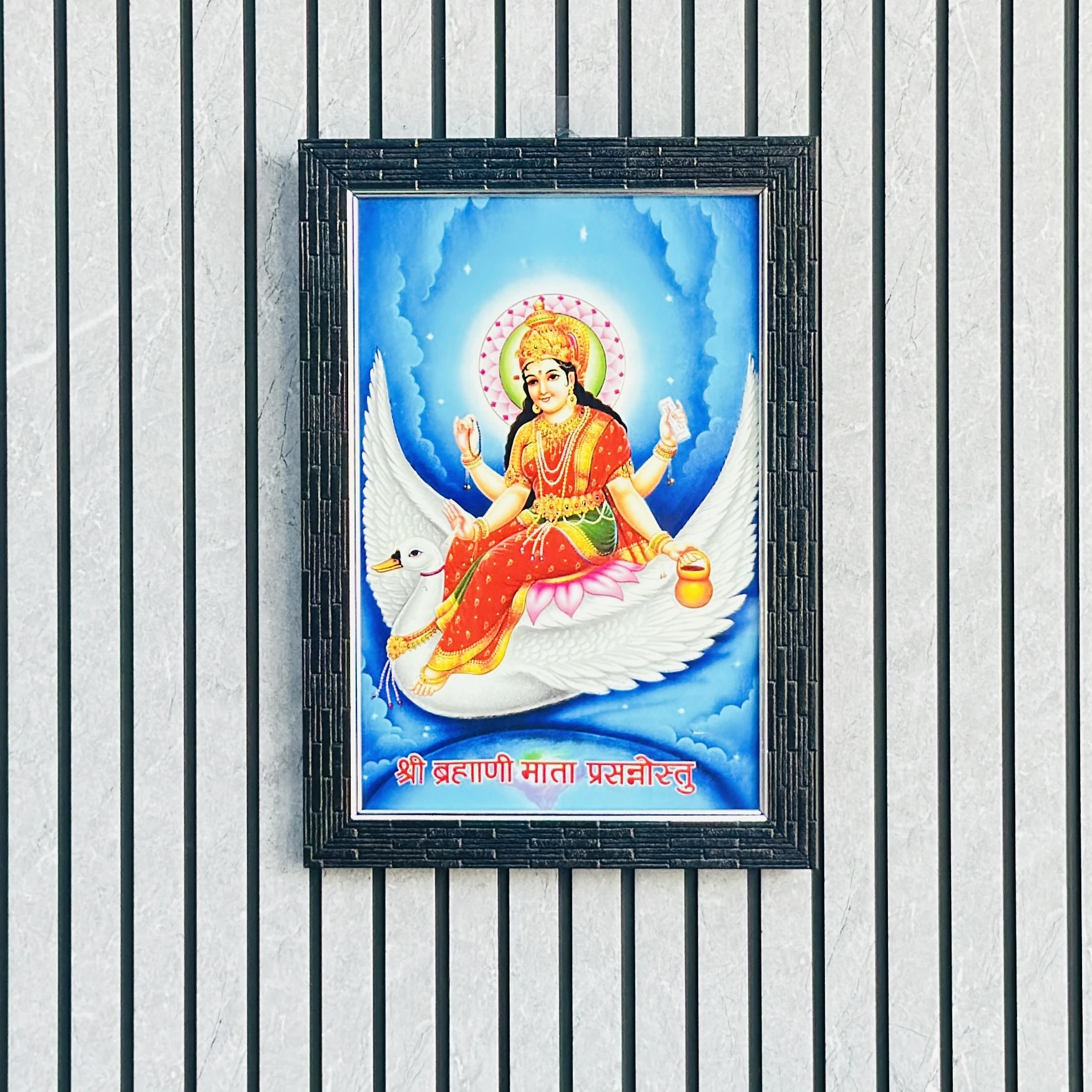 Hindu goddess Brahmani Mata