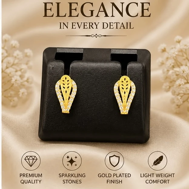 Stylish earrings