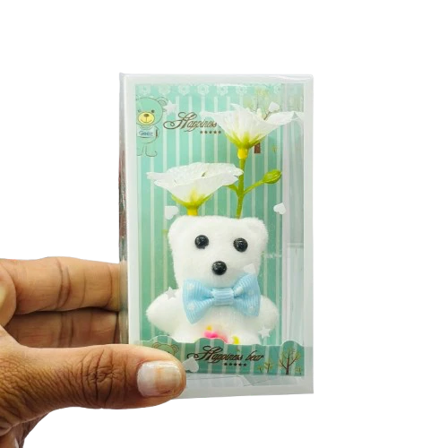White teddy bear gift set