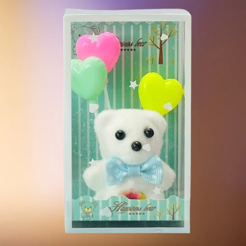 Teddy bear gift set or showpiece packaged in a clear display box.