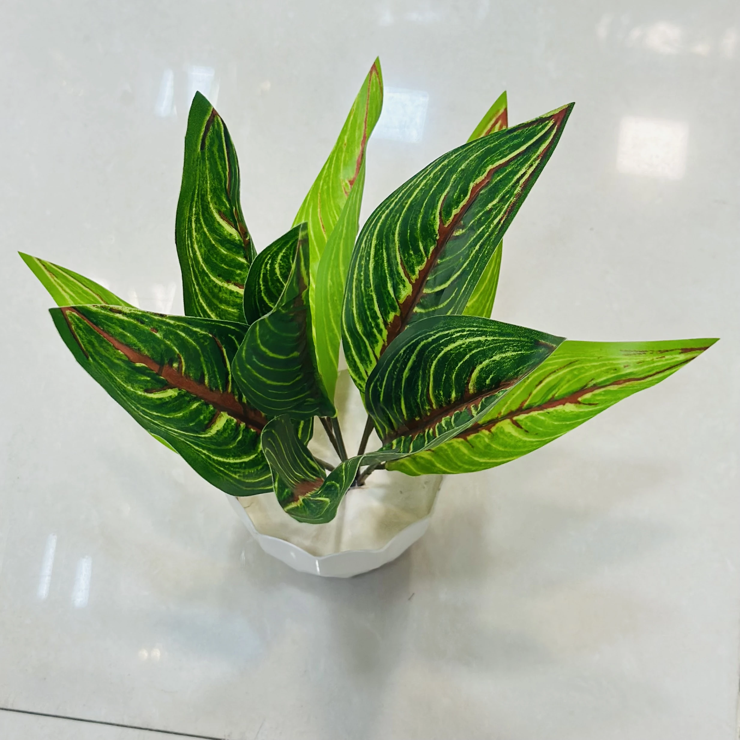 An artificial Aglaonema plant