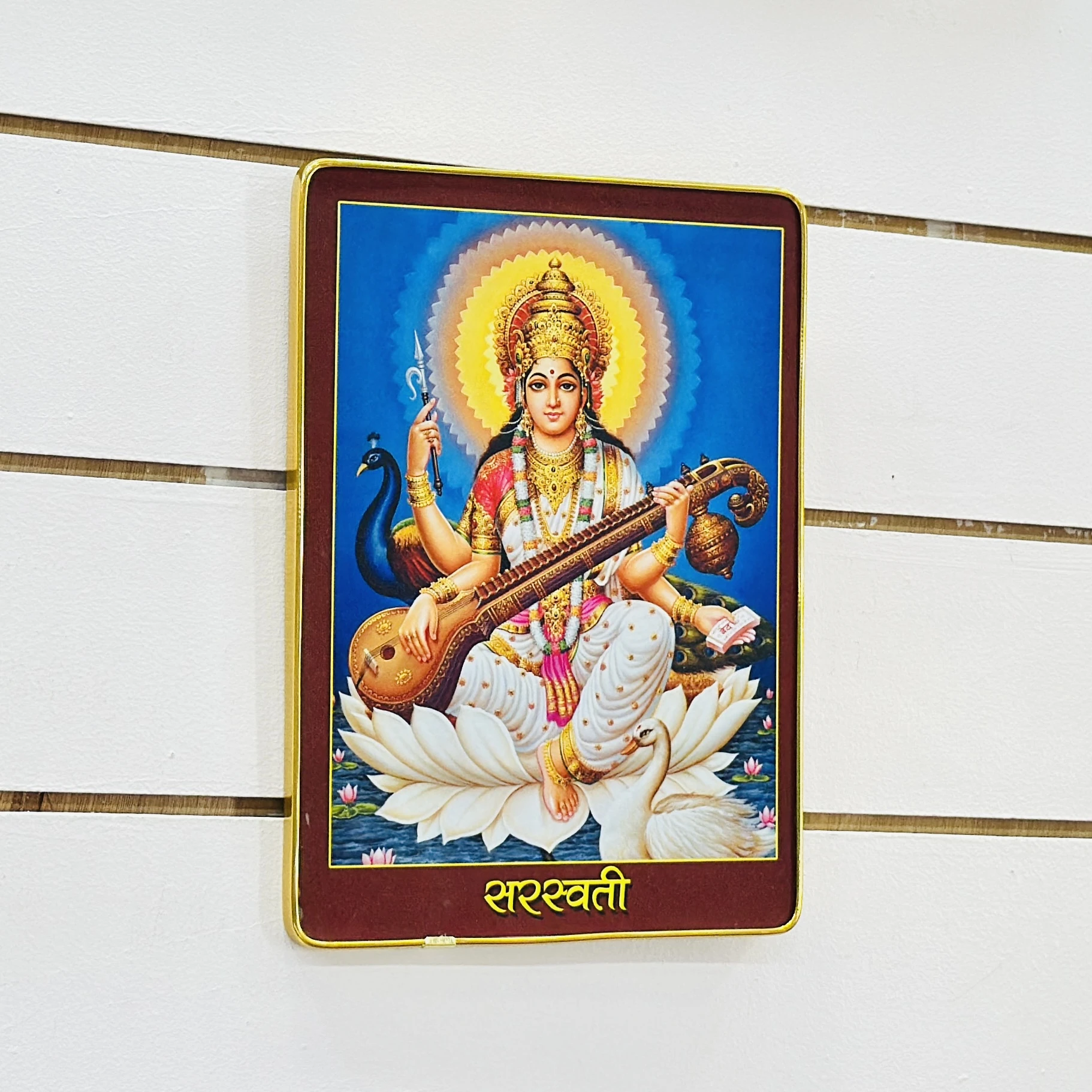 Hindu goddess Saraswati……. IR0N2F