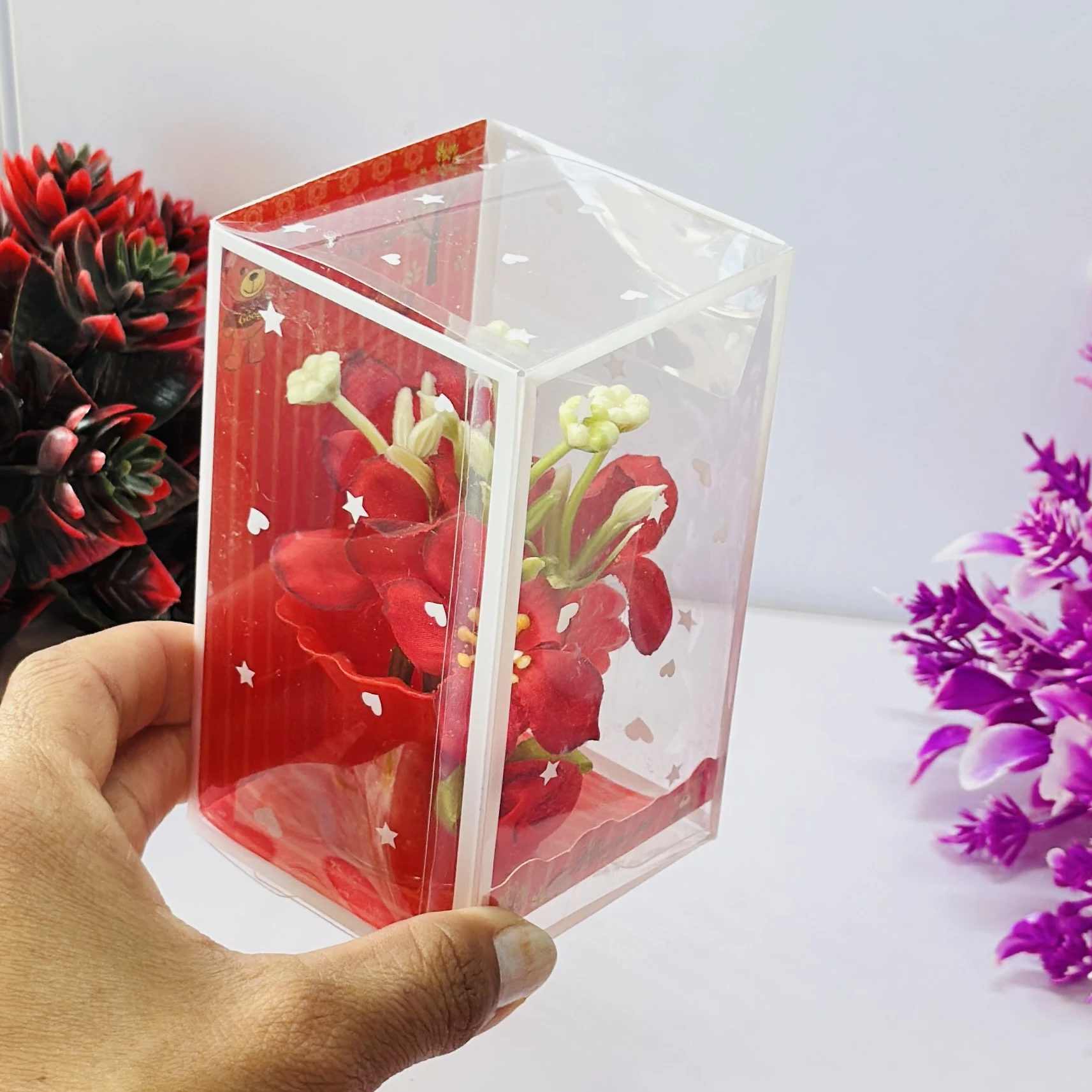 Red Rose flower arrangement in a pot, packaged in a clear plastic gift box.