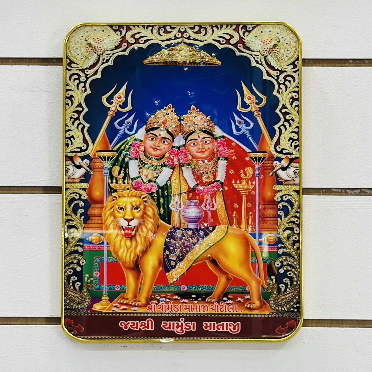 Hindu goddess Chamunda Maa….. FXZ4J6