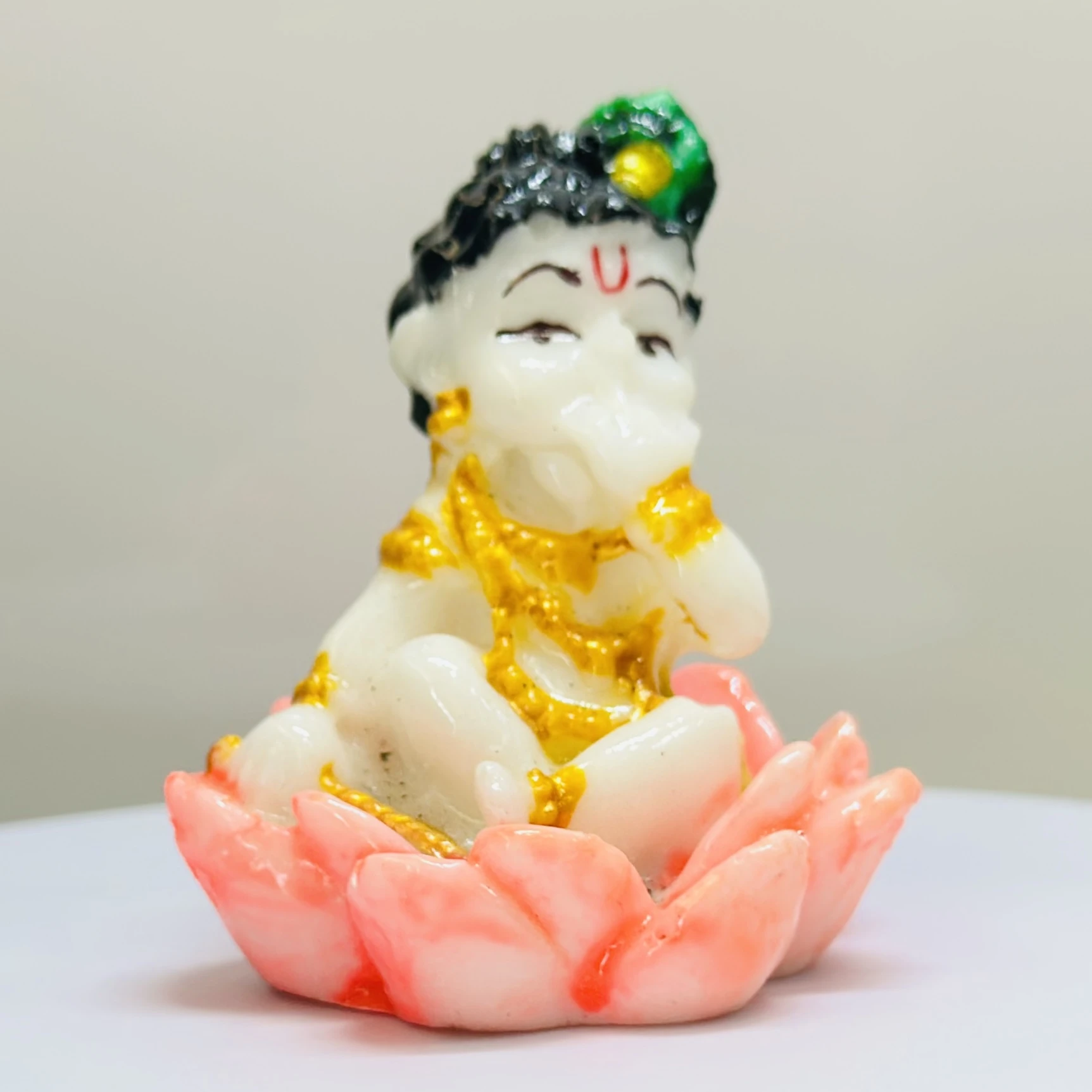 Laddu Gopal murti