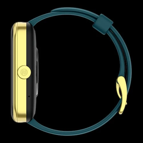 Color fit pulse 2 Max(Jade green)