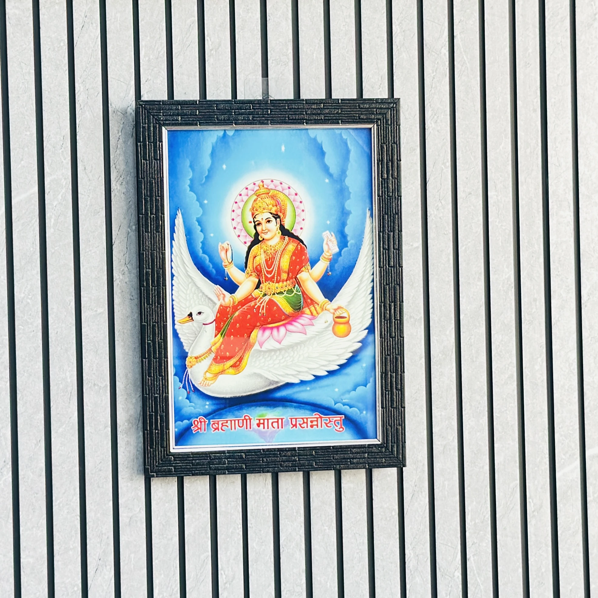 Hindu goddess Brahmani Mata