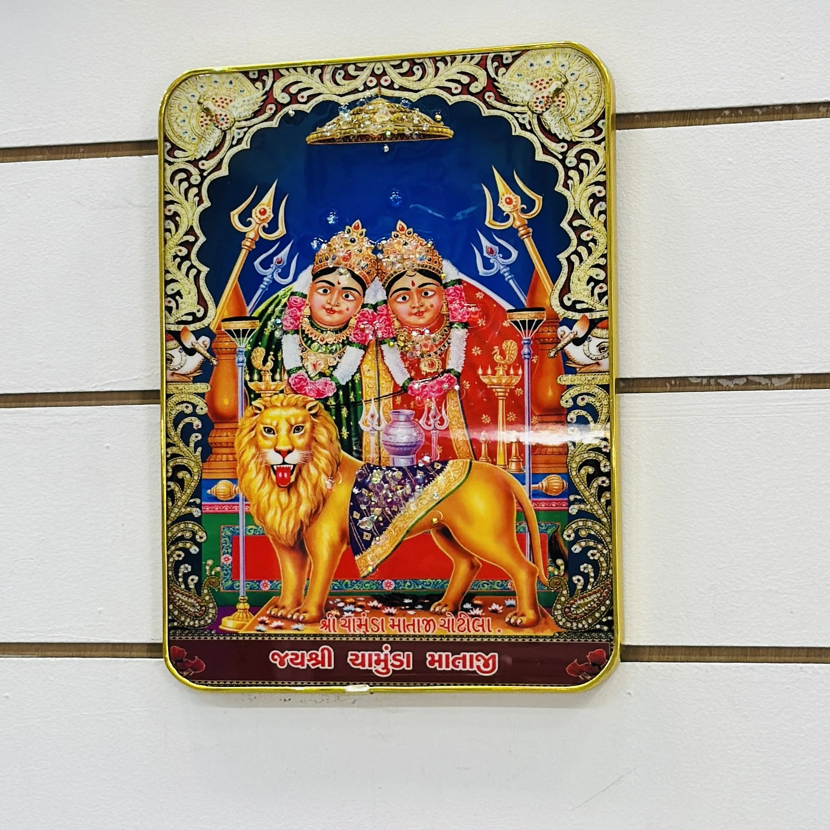Hindu goddess Chamunda Maa….. FXZ4J6